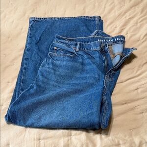 American Eagle Outfitters low rise ultra wide leg Jeans